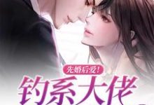 先婚后爱！钓系大佬偏执求爱这本小说怎么样？免费在线阅读试试-经典文学