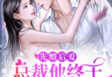 先婚后爱:总裁他终于暗恋成真了(温雅江妄)在线免费阅读-经典文学