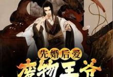完结版《先婚后爱:废物王爷宠妻没下限》免费阅读-经典文学
