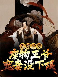 完结版《先婚后爱：废物王爷宠妻没下限》免费阅读