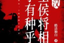 《秦汉：王侯将相宁有种乎》小说主角刘骧张寅章节章节免费在线阅读-经典文学