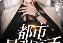 完结版《都市最强高手》章节阅读-经典文学