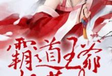 霸道王爷妖孽妃免费阅读，霸道王爷妖孽妃章节目录-经典文学