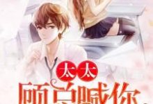 在线寻找 戚玥顾淮的小说，太太，顾总喊你生二胎免费阅读-经典文学