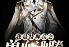 我是特种兵之兽血沸腾陆枫谭晓琳,我是特种兵之兽血沸腾章节在线阅读-经典文学