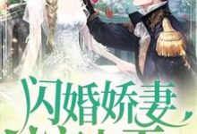 闪婚娇妻宠上天最新章节,闪婚娇妻宠上天章节在线阅读-经典文学
