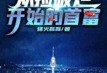 小说《从捡破烂开始的首富》章节阅读-经典文学
