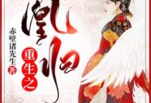 重生之凰归小说全文阅读需要付费吗?寻找免费资源-经典文学