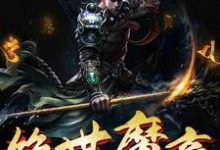小说《绝世魔帝》章节免费阅读-经典文学