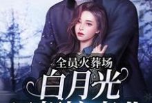 完结版《全员火葬场，白月光只想搞事业》免费阅读-经典文学