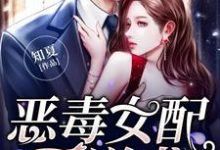 小说《恶毒女配要逆袭》章节免费阅读-经典文学