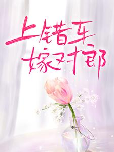 上错车，嫁对郎 叶渺江约城在线章节免费阅读