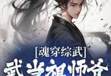 在线寻找魂穿综武：武当祖师爷出山了小说的无删减版本-经典文学