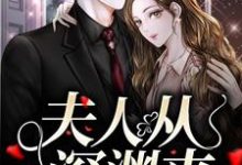 完结版《夫人从深渊来》章节阅读-经典文学