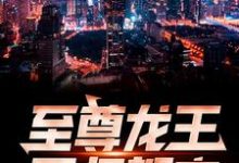萧青帝林佳琪苏若颜萧天帝小说《至尊龙王回归都市》在线阅读-经典文学