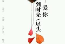 爱你到时光尽头这本小说在哪里可以看？哪里有免费试读章节？-经典文学