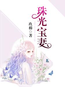 珠光宝妻小说完结版章节免费阅读