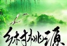 小说《乡村桃源》章节免费阅读-经典文学