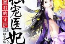完结版《暴君的守护:独宠医妃》章节目录在线阅读-经典文学