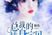 总裁的替身宝贝最新章节，总裁的替身宝贝章节在线阅读-经典文学