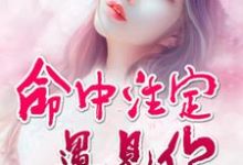 主角向安若徐轩欧阳浩泽小说命中注定遇见你免费阅读-经典文学
