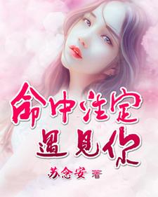 主角向安若徐轩欧阳浩泽小说命中注定遇见你免费阅读
