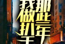 小武唐大脑袋为主角的小说好看吗？免费读我做扒手那些年-经典文学