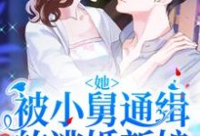 她!被小舅通缉的逃婚新娘这本小说怎么样?免费在线阅读试试-经典文学