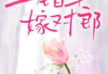 完结版《上错车，嫁对郎》章节阅读-经典文学