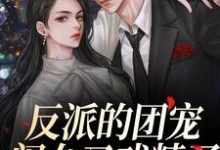 反派的团宠闺女又戏精了小说，反派的团宠闺女又戏精了章节在线阅读-经典文学