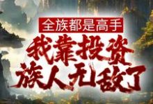 全族都是高手,我靠投资族人无敌了姜道玄小说大结局免费试读-经典文学