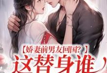 娇妻前男友回国?这替身谁爱当谁当王逸风小说免费阅读-经典文学