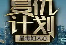 主角聂哲小说复仇计划：最毒妇人心免费阅读-经典文学