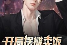 完结版《开局摆摊卖饭,我能加点升级》章节阅读-经典文学