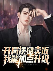 完结版《开局摆摊卖饭，我能加点升级》章节阅读