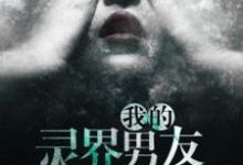 我的灵界男友免费阅读，我的灵界男友章节目录-经典文学