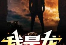 已完结小说《全民兽化:末世生存我是龙！》章节在线阅读-经典文学