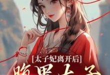 寻找能够免费阅读太子妃离开后,腹黑太子急疯了小说的平台-经典文学