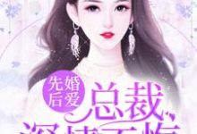 沈若水厉牟炀的完整故事在哪里?读先婚后爱:总裁,深情不悔小说-经典文学