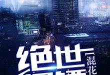 绝世保镖混花都小说，绝世保镖混花都在线阅读-经典文学