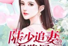 在线搜索时锦陆煜泽时琳晏正宸的完整小说,免费阅读陆少追妻套路深-经典文学