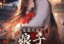 完整版的宠妻灭妾?娘子,我不会啊小说在哪里可以免费读到?-经典文学