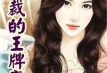 《女总裁的王牌高手》小说主角叶萧张雪瑶顾菲菲唐糖章节章节免费在线阅读-经典文学