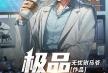 极品全能神医小说的免费阅读版本在哪里可以找到？-经典文学