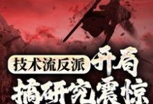 技术流反派:开局搞研究震惊万界主角小说的免费电子版在哪里可以下载或阅读?-经典文学
