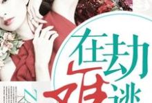 哪里能找到在劫难逃小说的全部章节？-经典文学