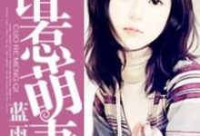 免费在线阅读错惹萌妻小说的正规网站有哪些?-经典文学