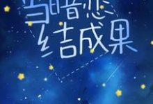 完结版《当暗恋结成果》章节目录在线阅读-经典文学