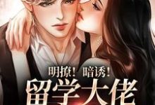 傅凡景安的故事在哪本书里？免费阅读明撩！暗诱！留学大佬他不怀好意-经典文学