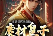 穿越觉醒酒剑仙,废材皇子赢麻了小说全文哪里可以免费看?-经典文学